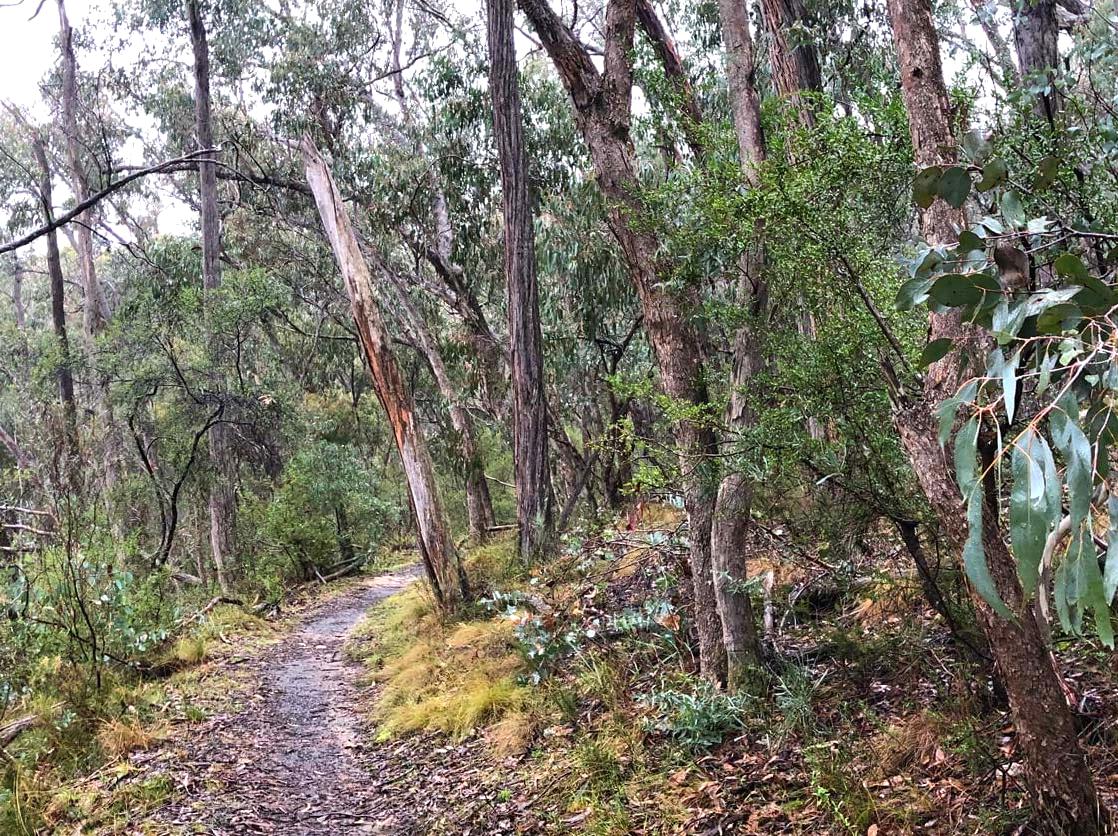 floydscycling | Visit the Lost Children's Walk: Explore the Lost Children's Walk