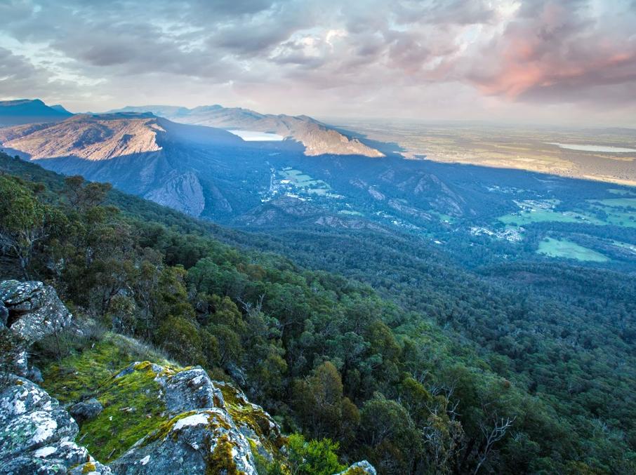 floydscycling | Learn About the Park’s Fire History and Recovery: Discover the park’s fire history