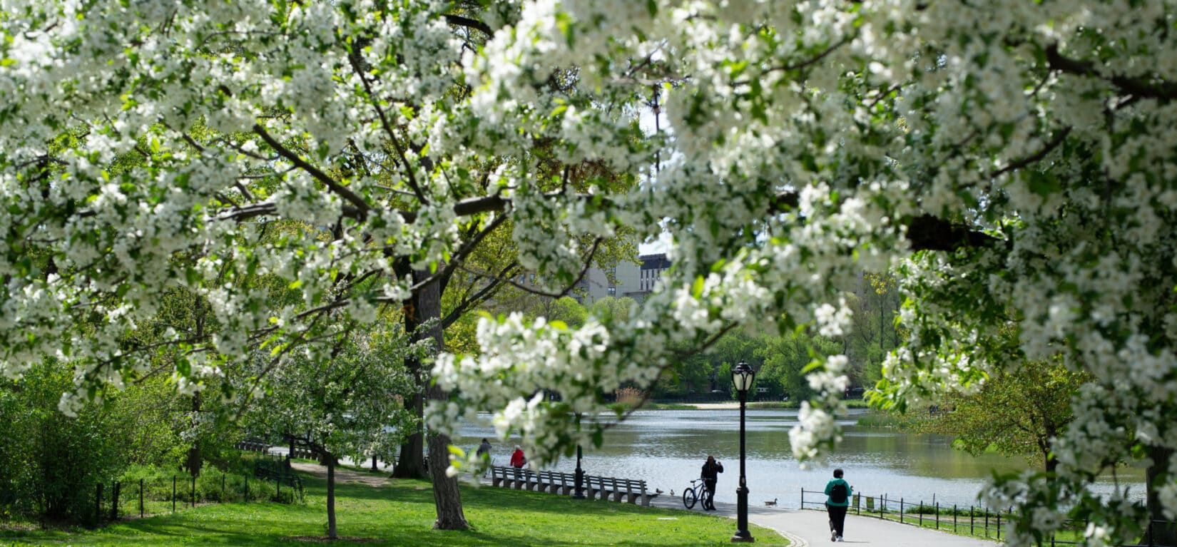 floydscycling | Visit the Rosea Track for Spring Blooms: Explore the Rosea Track in spring