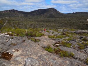 floydscycling | Visit the Rosea Track for Spring Blooms: Explore the Rosea Track in spring